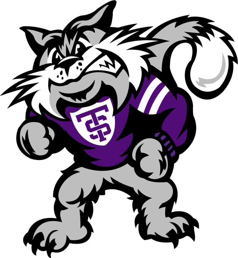 St. Thomas Tommies 2009-2021 Mascot Logo diy iron on heat transfer